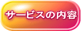 T[rX̓e 